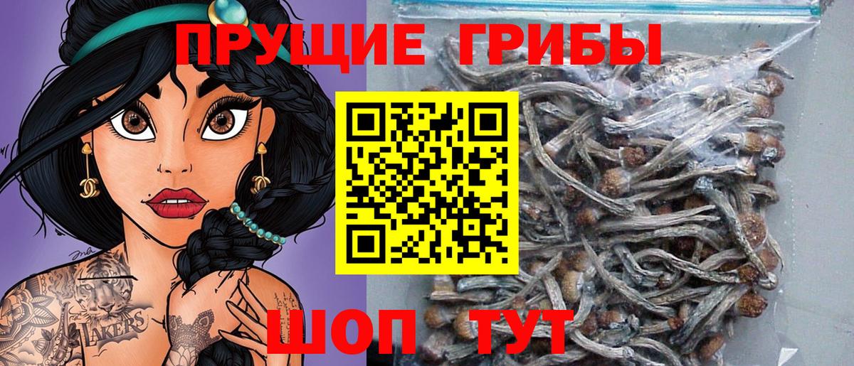 Псилоцибиновые грибы Magic Shrooms Спасск-Дальний