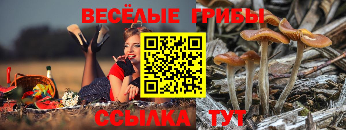 Псилоцибиновые грибы Cubensis  Вход с VPN  Галлюциногенные грибы GOLDEN TEACHER  Спасск-Дальний 